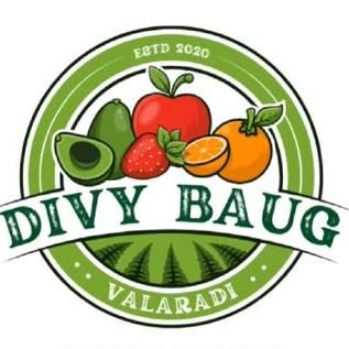 Divy Baug Logo